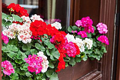 传索尼即将公布新的第三方游戏 登陆PS5